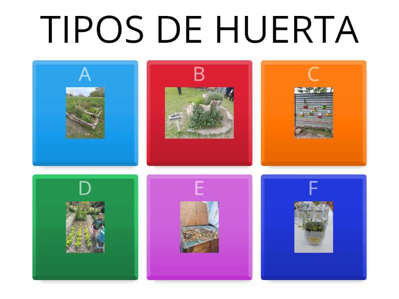 Proyecto Huerta Quiz