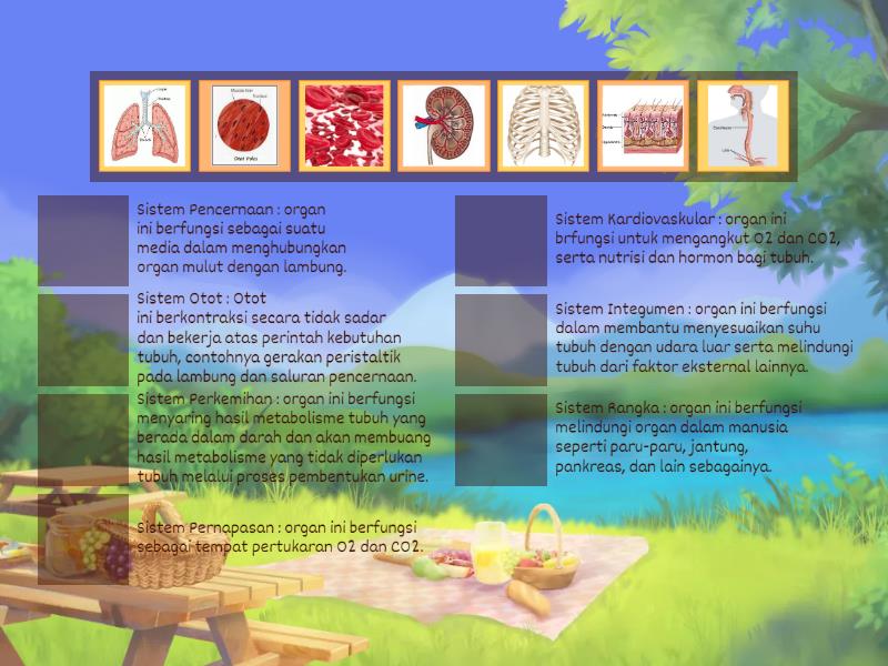 MENCOCOKKAN Organ Sistem Dan Ciri Fungsinya Match Up