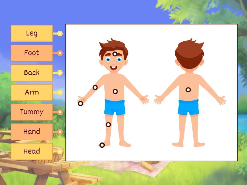 Body Parts Labelled Diagram