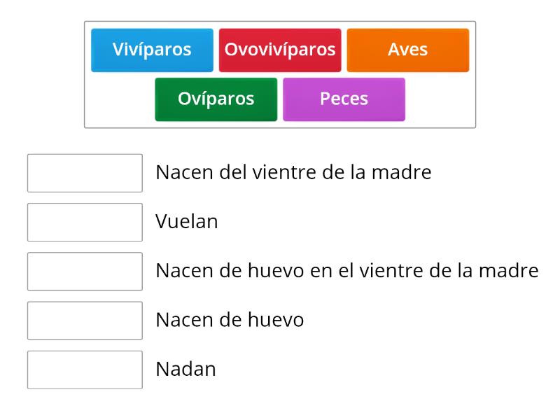 Recuerdo Lo Aprendido Pareo Las Respuesta Correcta Une Las Parejas