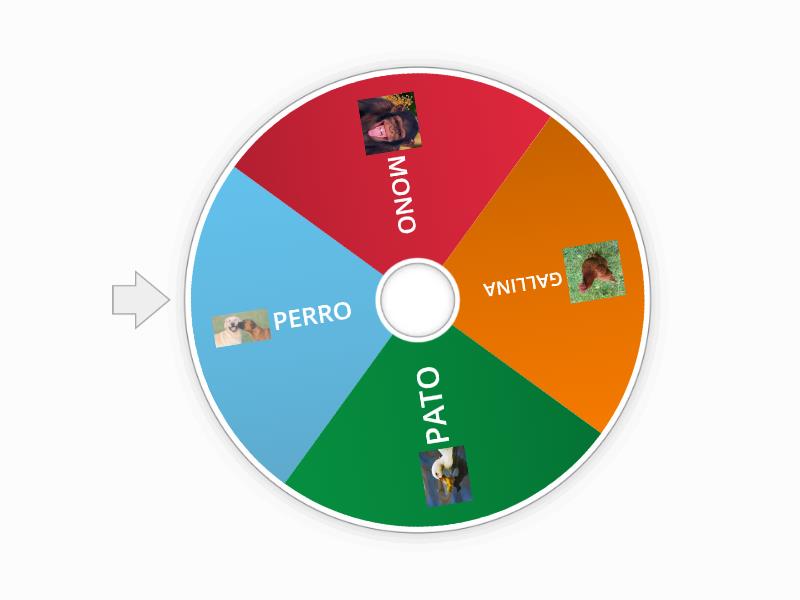 Ruleta Actividad Fisica Rueda Aleatoria