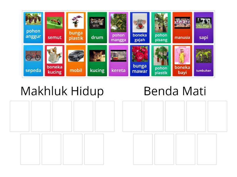 Makhluk Hidup Dan Benda Mati Group Sort