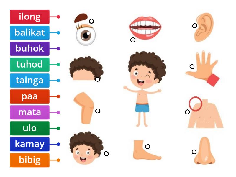 Mga Bahagi Ng Katawan CONNECT Labelled Diagram