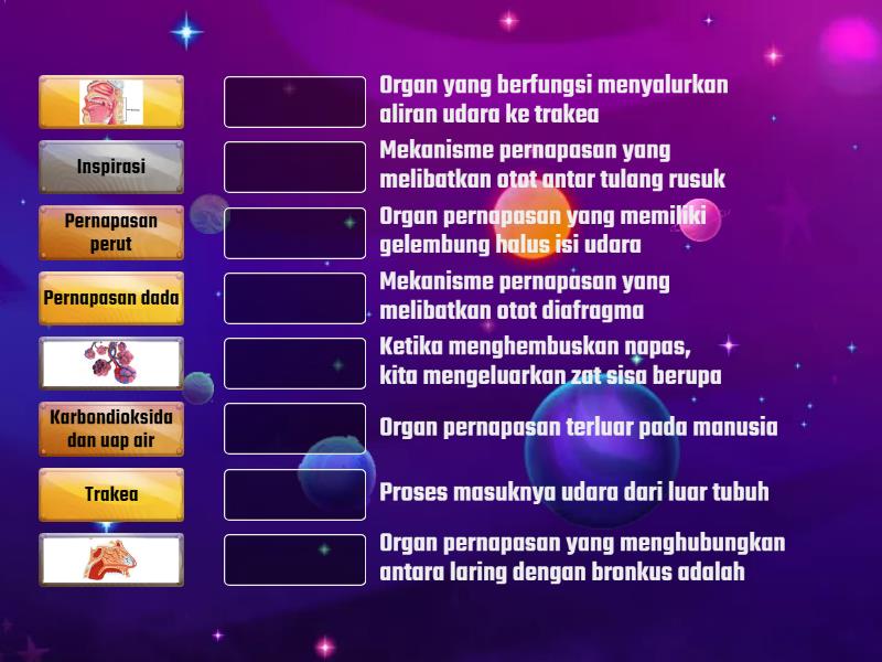 Kuis Sistem Pernapasan Manusia Match Up