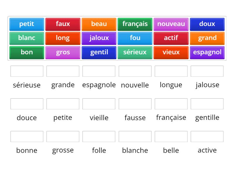 Le Genre Des Adjectifs Match Up