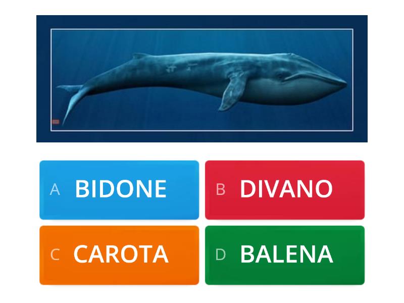 Parole Trisillabe Piane Quiz