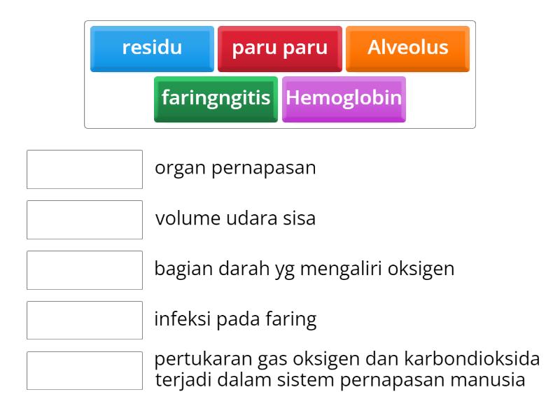 Latihan Soal Pernapasan Match Up