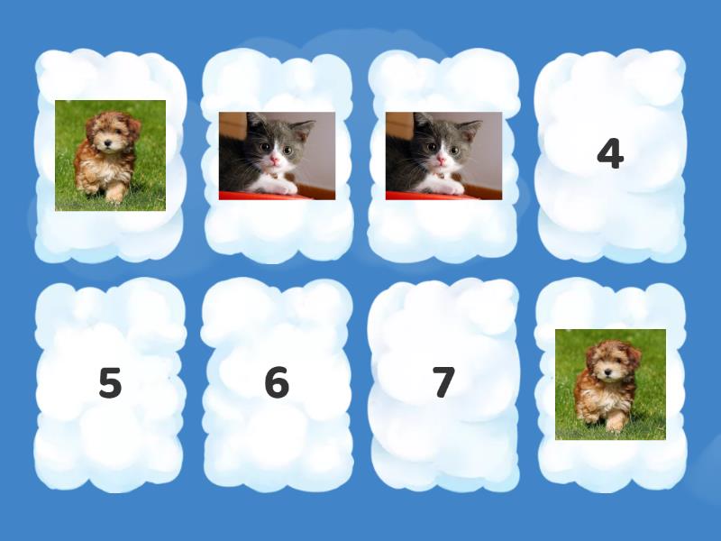 Trouve Les Paires Animaux Matching Pairs