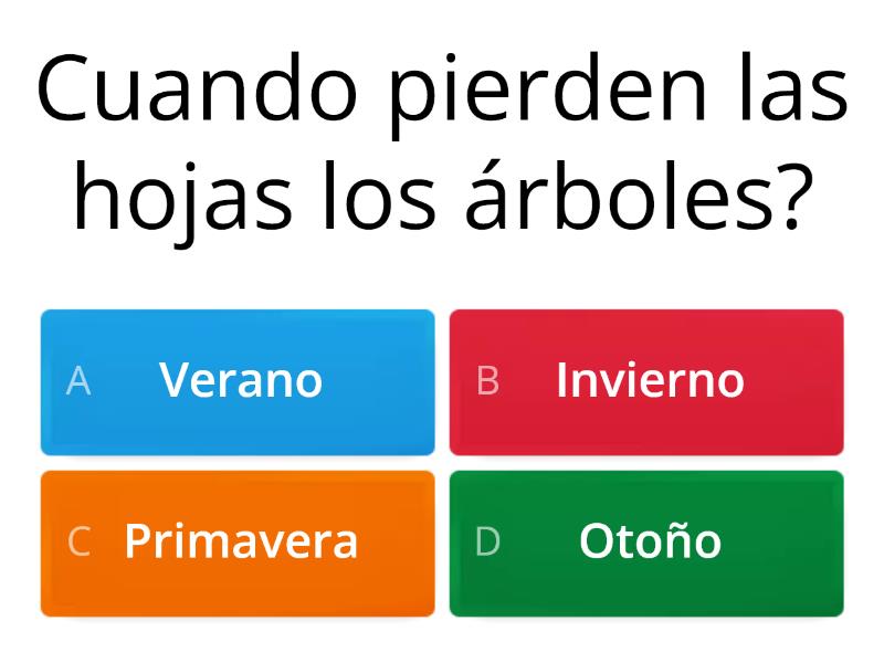 La Hoja Que Queria Volar Cuestionario