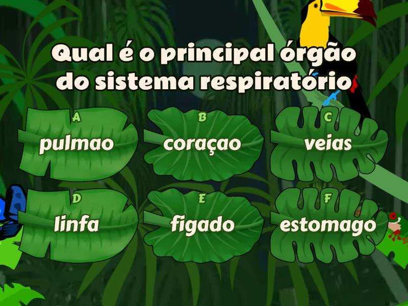 Sistema Respira Torio Quiz