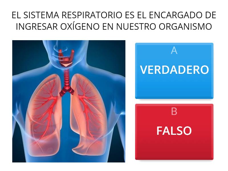 SISTEMA RESPIRATORIO Quiz