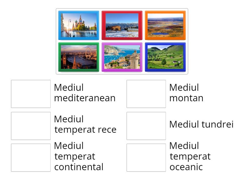 Mediile Europei Match Up