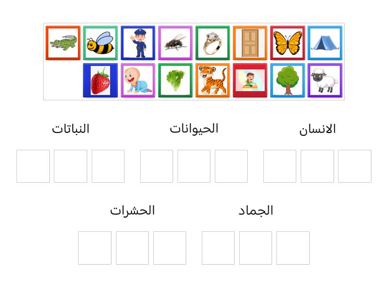 صنف الحقول الدلالية فرز المجموعات