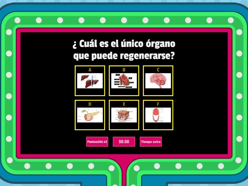 Las Partes Internas Del Cuerpo Humano Gameshow Quiz