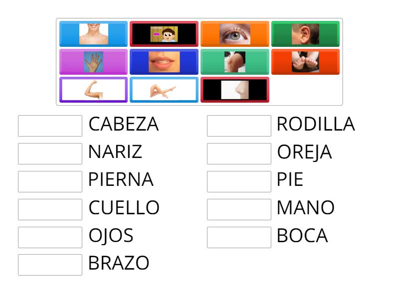 E Une Las Partes Del Cuerpo Con Su Nombre Une Las Parejas