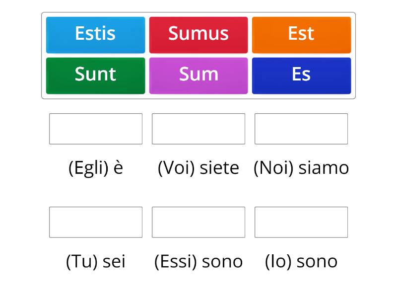 Verbo Essere Indicativo Presente Match Up