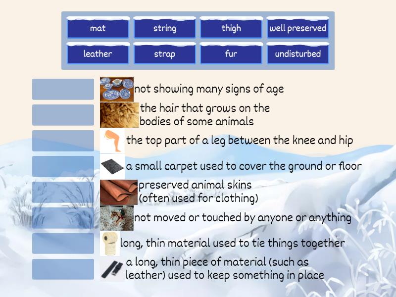 What Did Otzi The Iceman Wear Vocabulary Preview Match Up