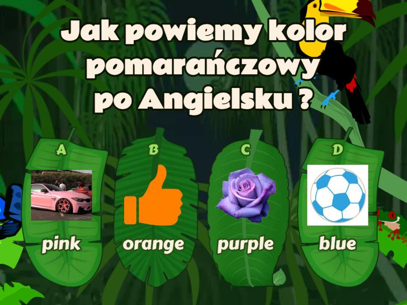 Kolory Po Angielsku Test