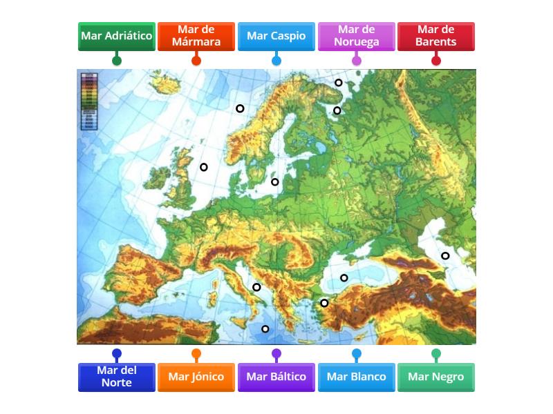 Mares De Europa Labelled Diagram