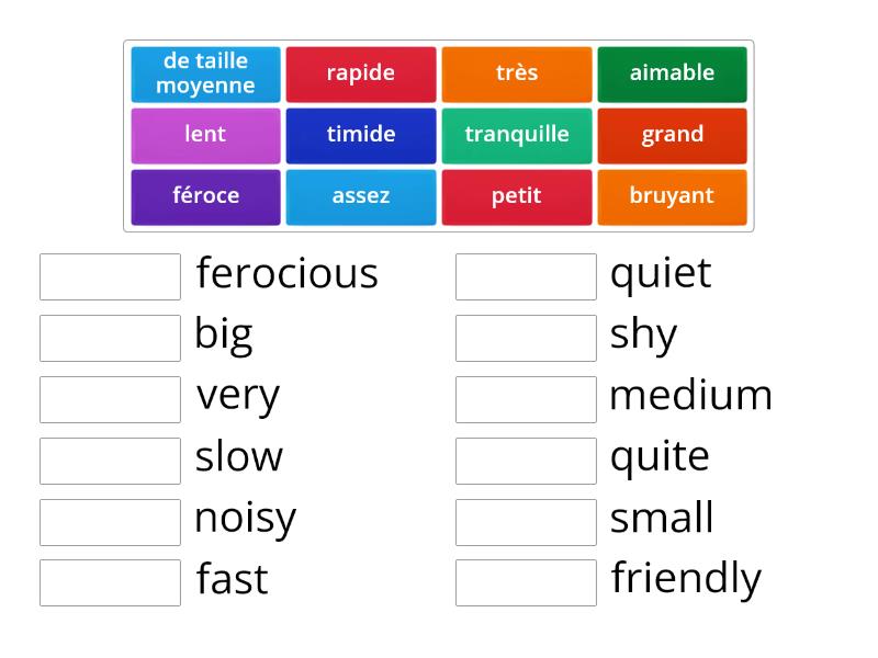 Les Adjectifs Match Up