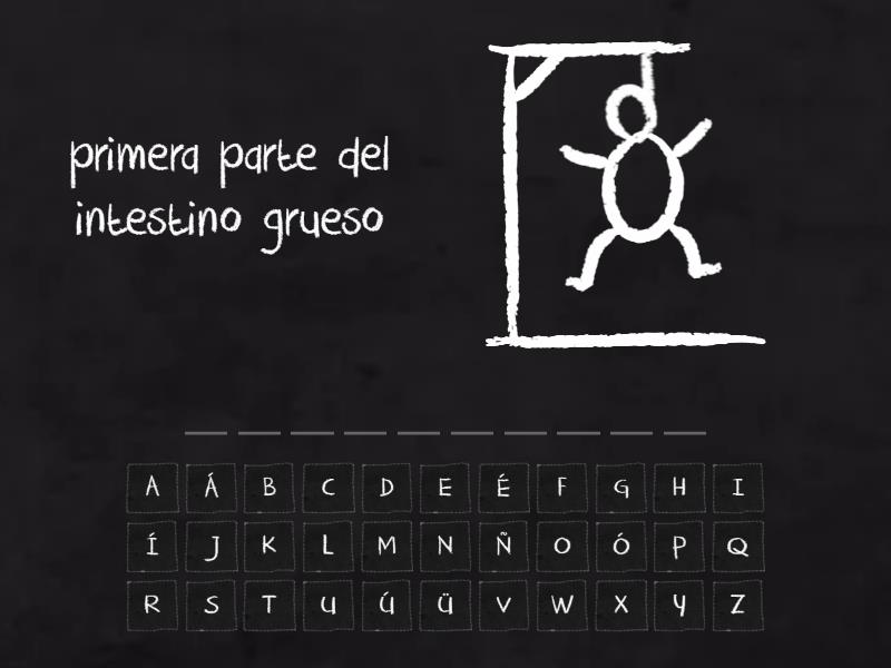 Partes Del Intestino Grueso Hangman