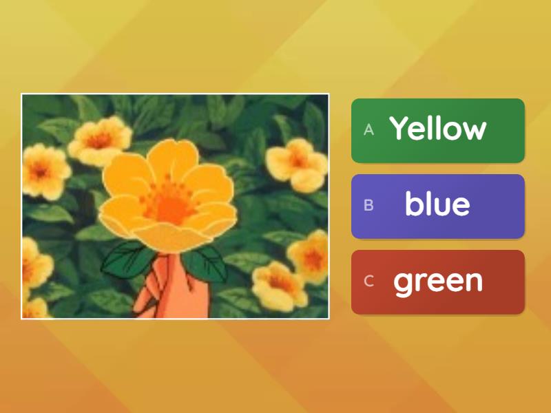 Colours Quiz