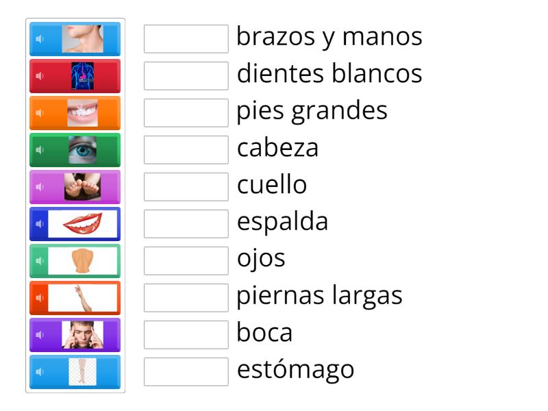 Partes Del Cuerpo Match Up