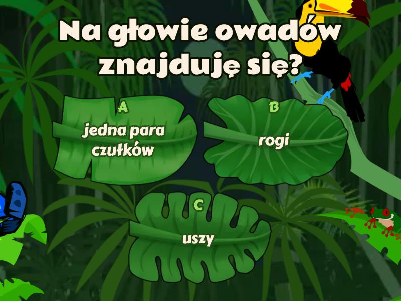 Owady Stawonogi Zdolne Do Lotu Test