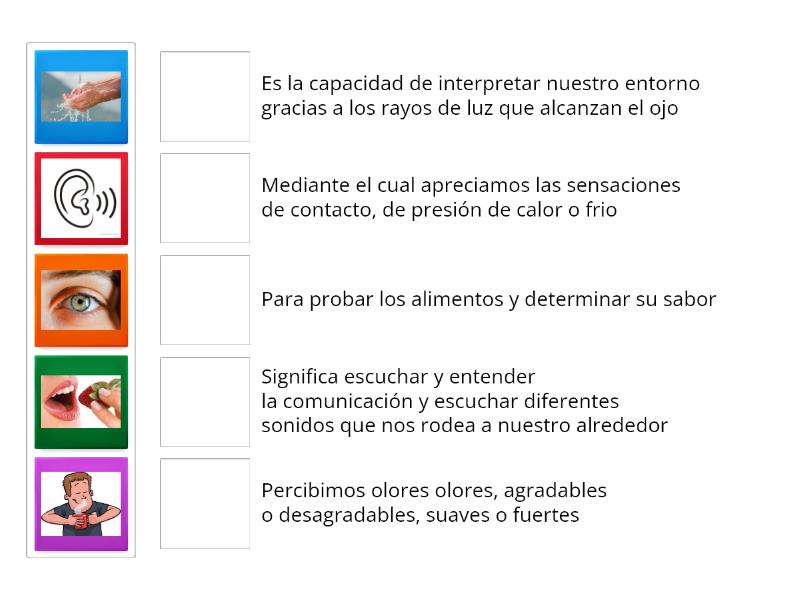 Une La Respuesta Correcta De Los 5 Sentidos Une Las Parejas