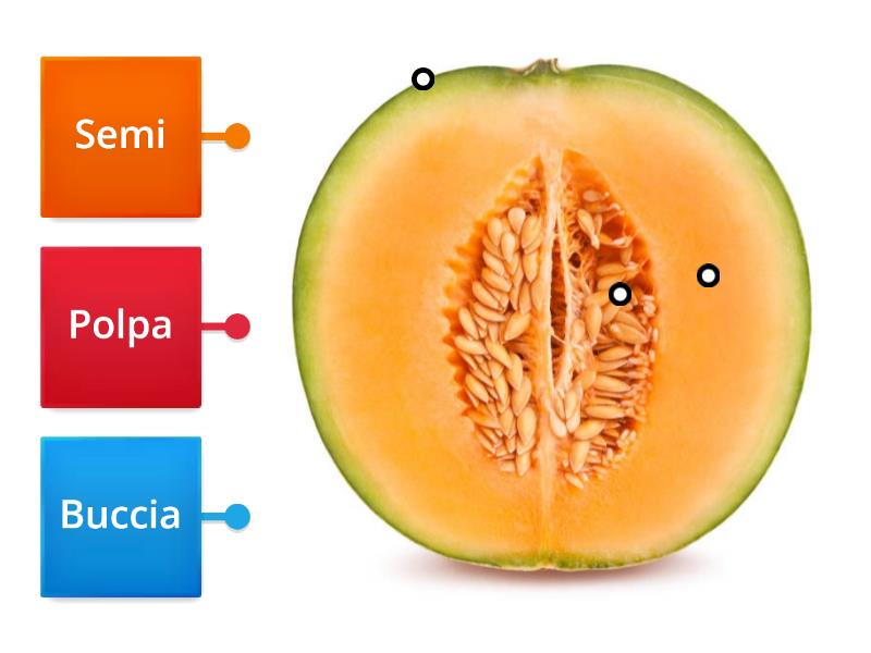 Le Parti Del Frutto Labelled Diagram