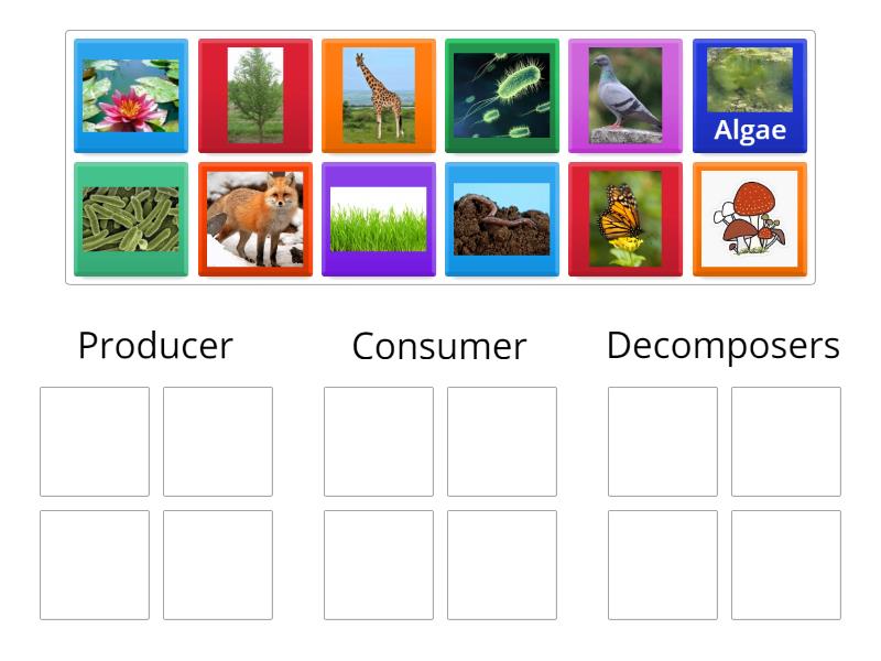 Producer Consumer Decomposers Group Sort