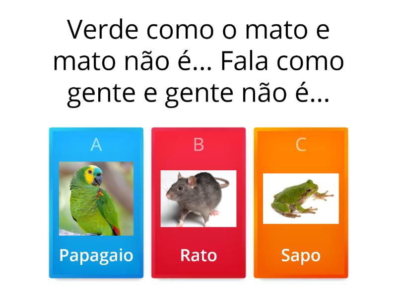 Adivinhas De Animais Quiz