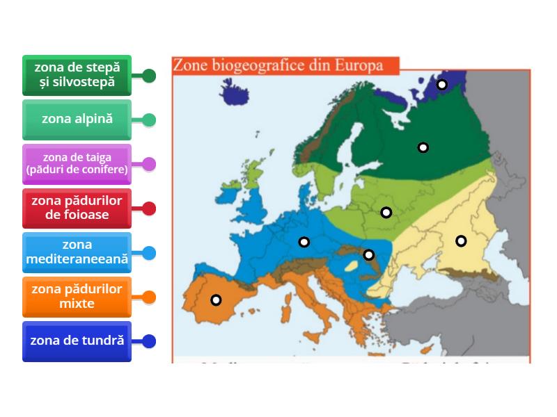 Zonele Biogeografice Ale Europei Diagrama Con Etiquetas