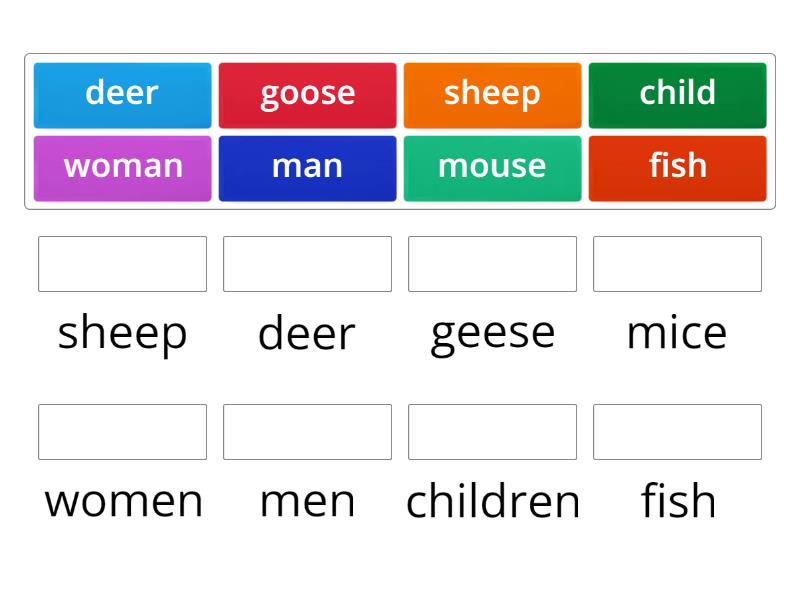 Irregular Plural Nouns Une Las Parejas