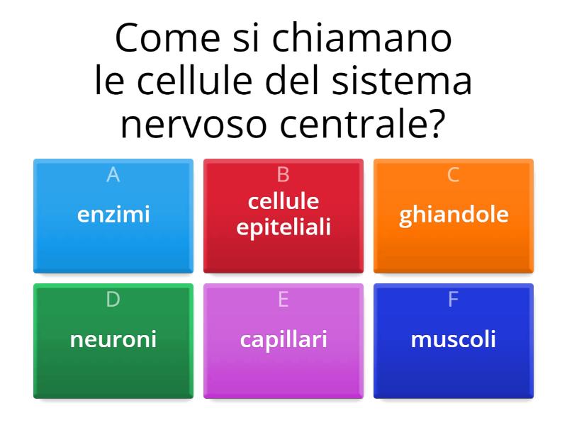 Studiare Il Corpo Umano Quiz