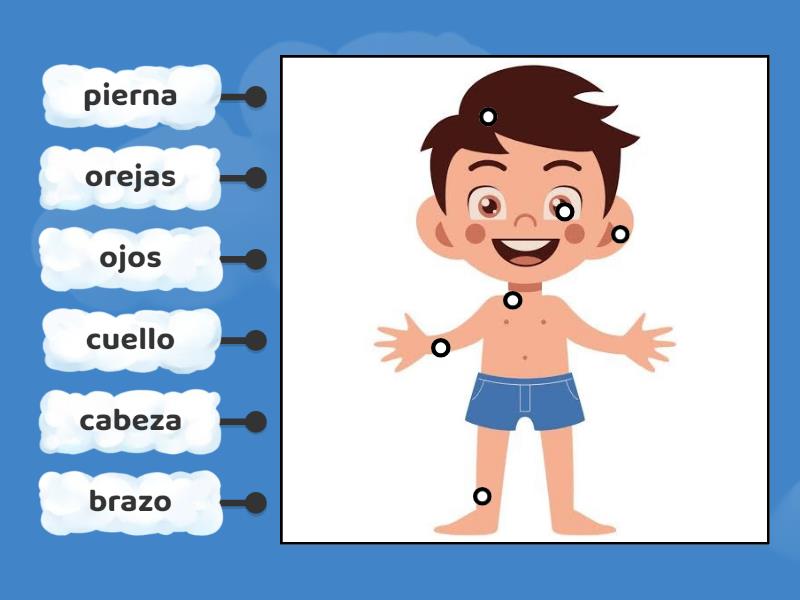 Las Partes Del Cuerpo Humano Labelled Diagram