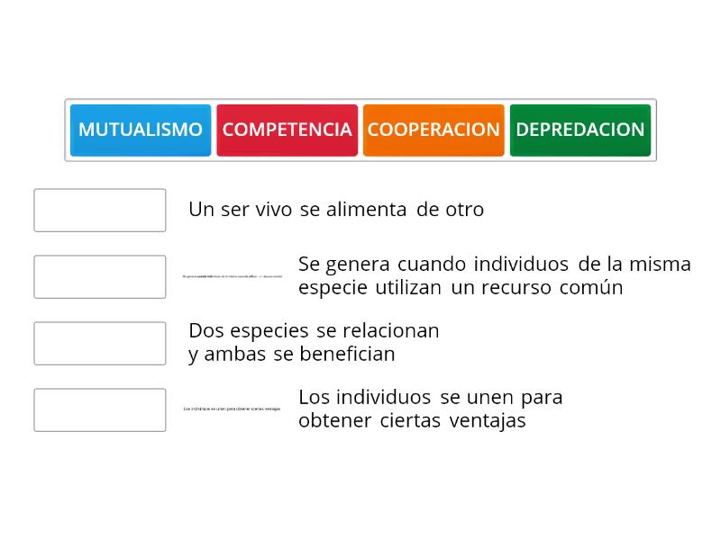 Relaciones Ecologicas Une Las Parejas