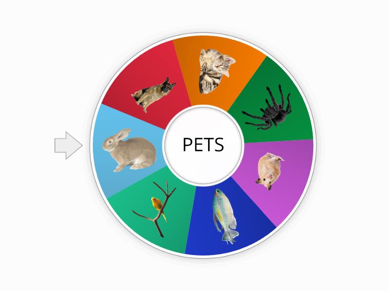 Pets Spin The Wheel