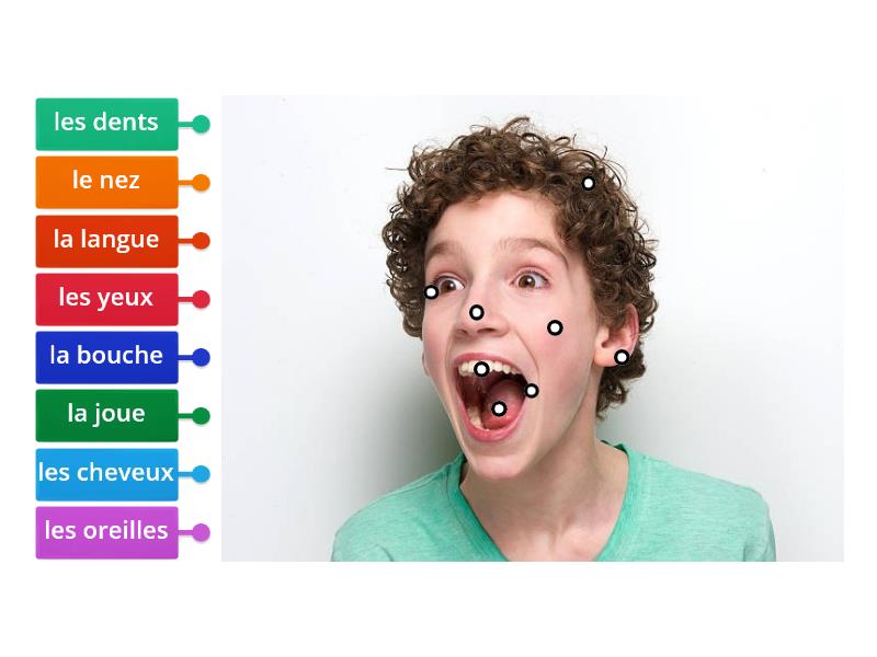 Les Parties Du Visage Labelled Diagram