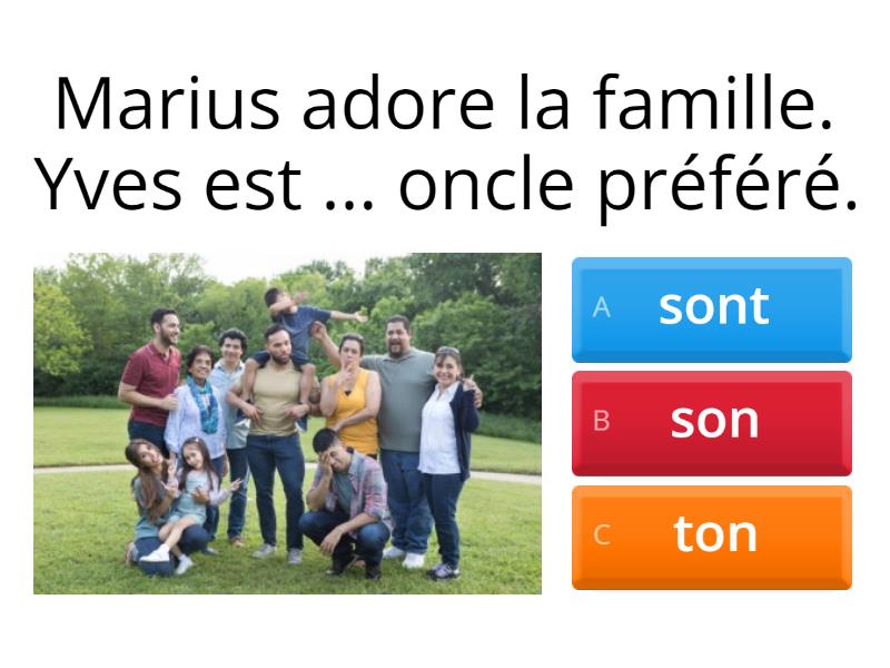 Les Adjectifs Possessifs La Famille Quiz