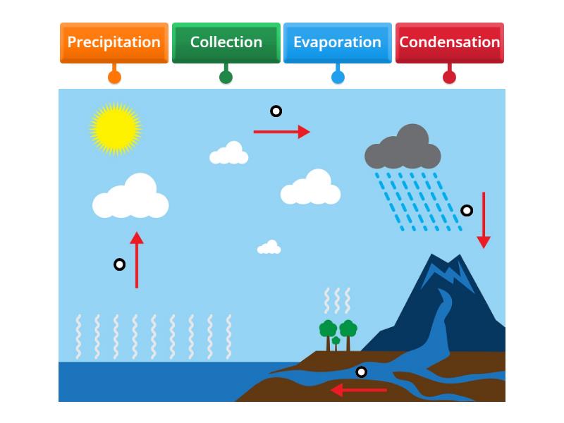 The Water Cycle Labelled Diagram