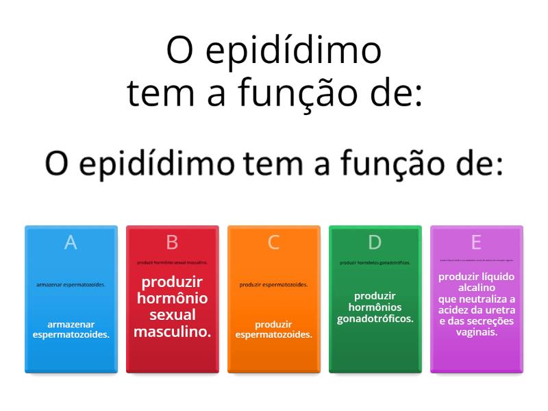 Sistema Genital Masculino E Feminino Quiz