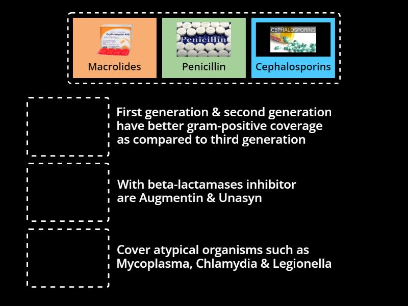 Classes Of Antibiotics And Their Characteristics Match Up