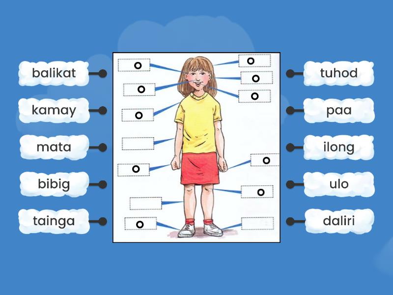 Mga Bahagi Ng Katawan Labelled Diagram