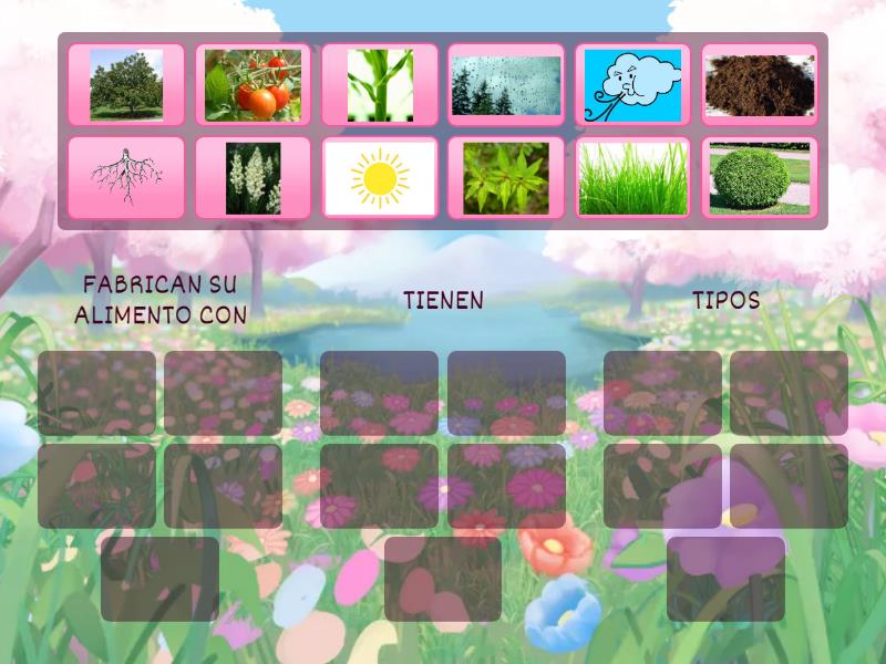 Esquema Las Plantas Group Sort