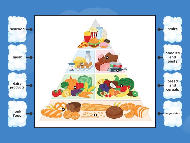 4B Unit 2 Food Pyramid Diagrama Con Etiquetas