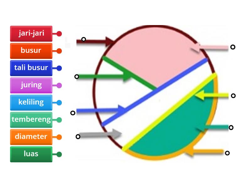 Bagian Bagian Lingkaran Kelas Labelled Diagram