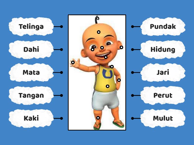 Mengenal Anggota Tubuh Labelled Diagram