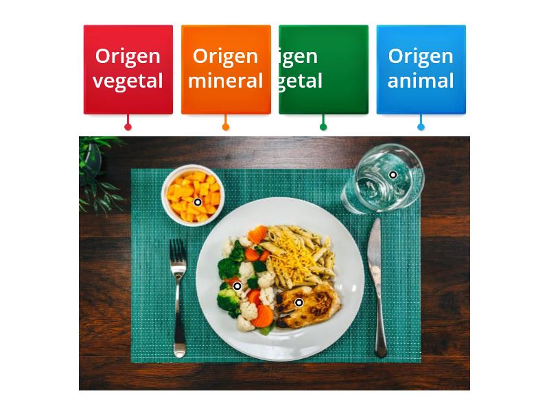 Alimentos Labelled Diagram