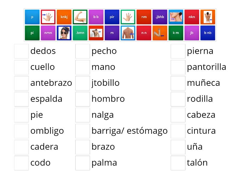 Partes Del Cuerpo Match Up